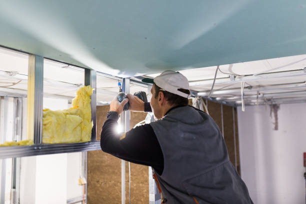 Best Specialized Insulation Services in Ontario, CA