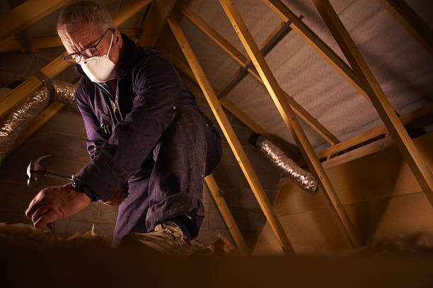 Best Eco-Friendly Insulation in Ontario, CA